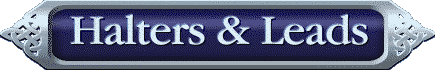 Halters & Leads