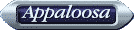 Appaloosa