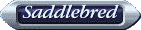 Saddlebred